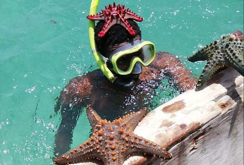 Ocean Adventure 2