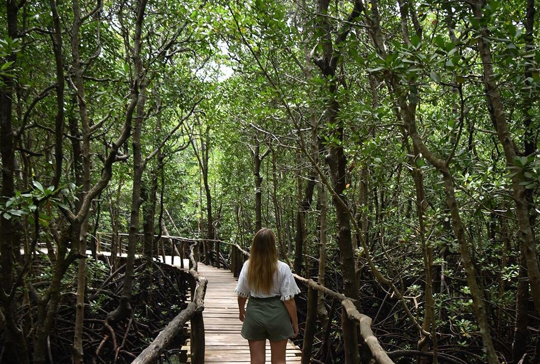 Nature & Hidden Gems 1